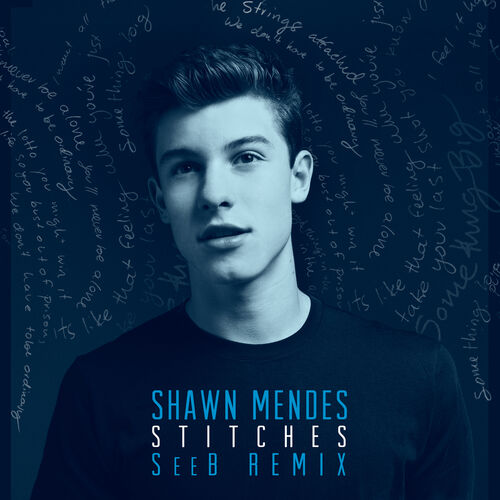 Portada de Stitches (Seeb Remix)