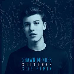 Portada de Stitches (Seeb Remix)