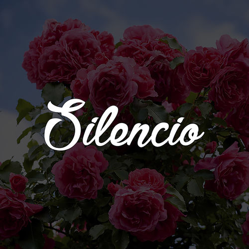 Portada de Silencio