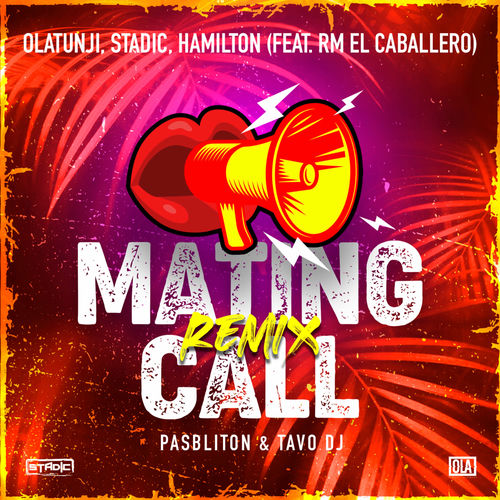 Portada de Mating Call (Remix)