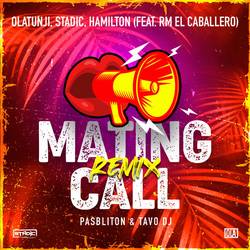 Portada de Mating Call (Remix)