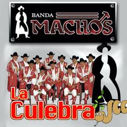 Portada de La Culebra