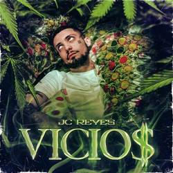 Portada de Vicios