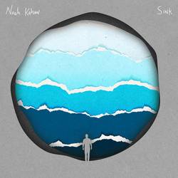 Portada de Sink