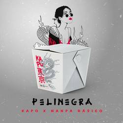 Portada de Pelinegra