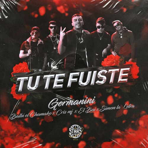 Portada de Tu Te Fuiste