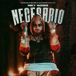 Portada de Necesario