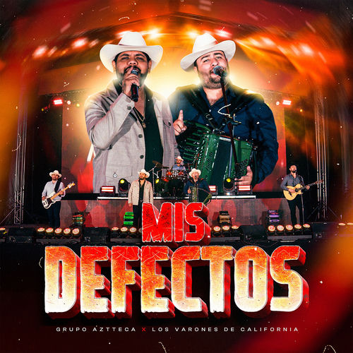 Portada de MIS DEFECTOS