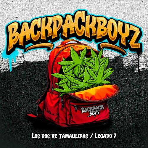 Portada de BackPackBoyz