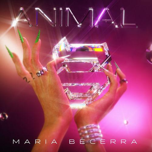 Portada de Animal