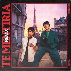 Portada de Te Mentiría Remix