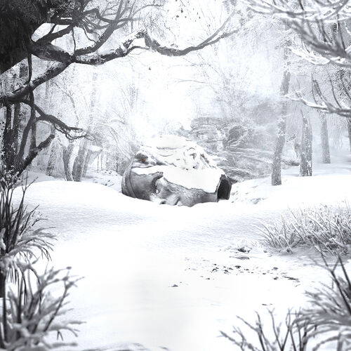 Portada de SZNZ: Winter