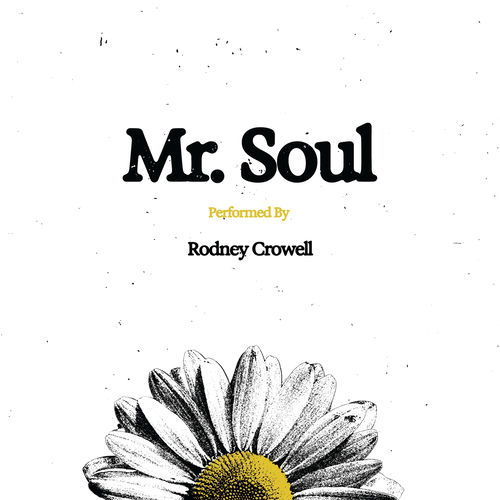 Portada de Mr. Soul