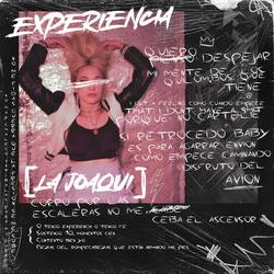 Portada de Experiencia