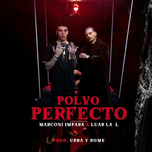 Portada de Polvo Perfecto