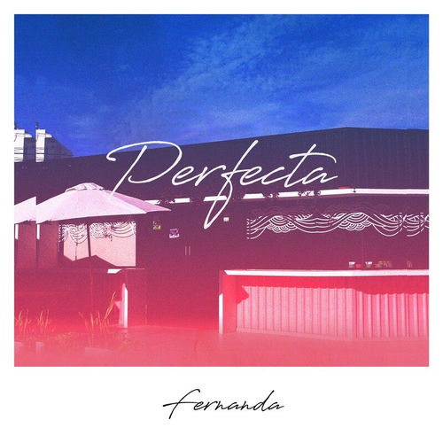 Portada de Perfecta