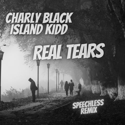 Portada de Real Tears (Speechless Remix)
