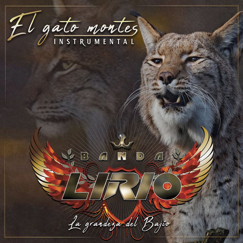 Portada de El Gato Montes (Instrumental)
