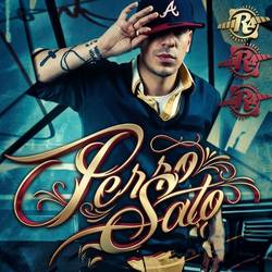 Portada de Perro Sato