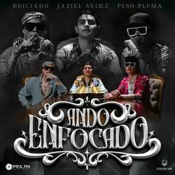 Portada de Ando Enfocado