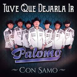 Portada de Tuve Que Dejarla Ir