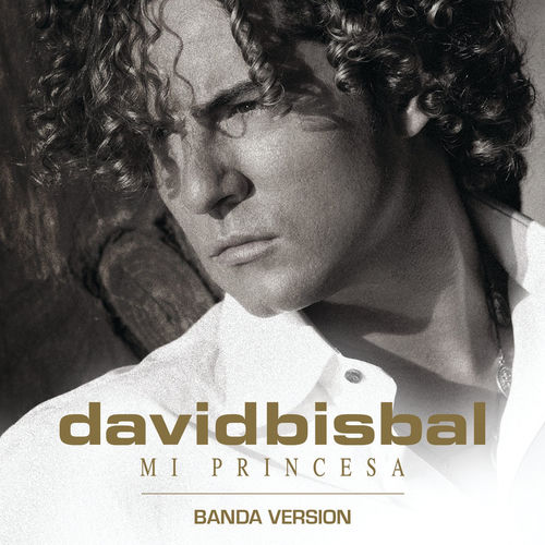 Portada de Mi Princesa (Banda Version)
