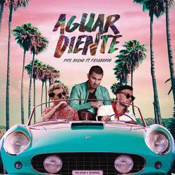 Portada de Aguardiente (feat. Pasabordo)