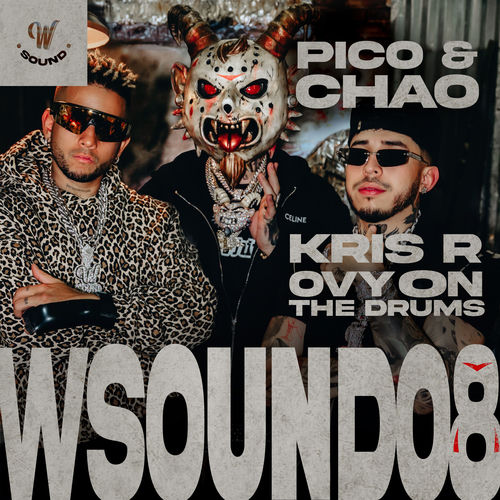 Portada de Pico Y Chao (W Sound 08)