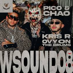 Portada de Pico Y Chao (W Sound 08)