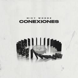 Portada de Conexiones