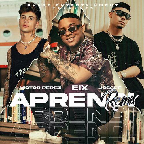 Portada de Aprendí (Remix)