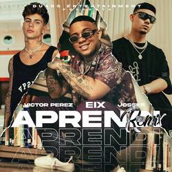 Portada de Aprendí (Remix)