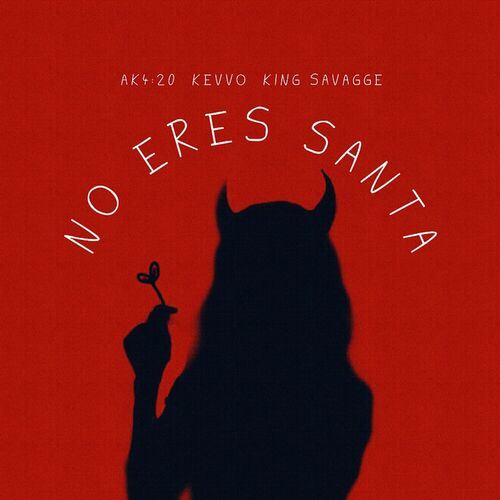 Portada de NO ERES SANTA