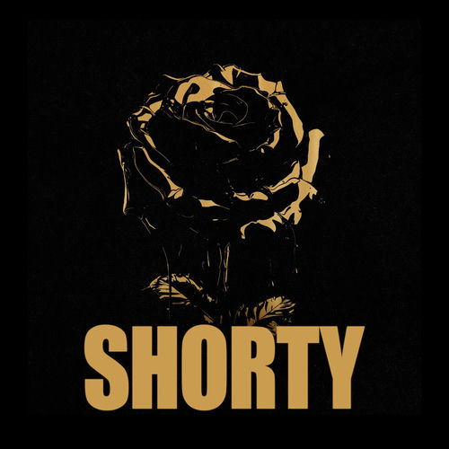 Portada de shorty (feat. Gino Mella, King Savagge & Remers)