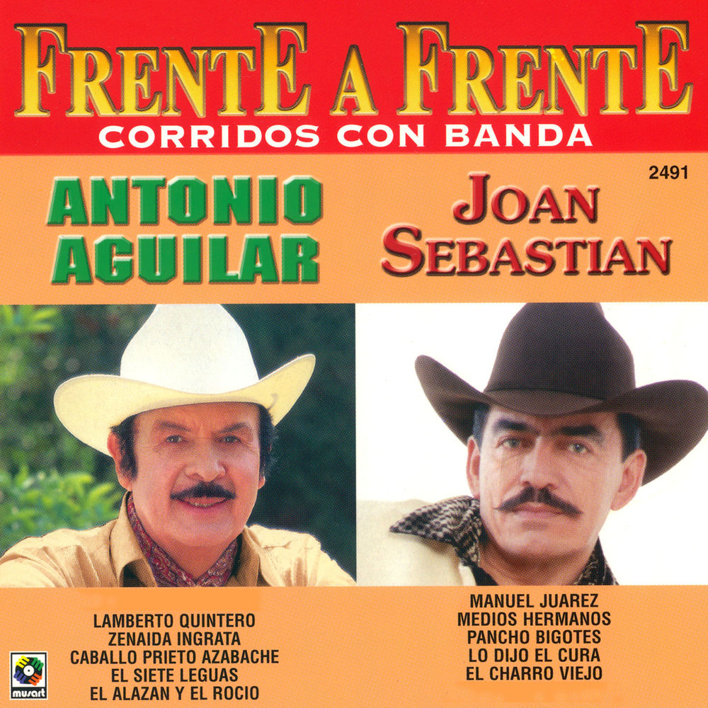 Portada de El Alazán y el Rocío