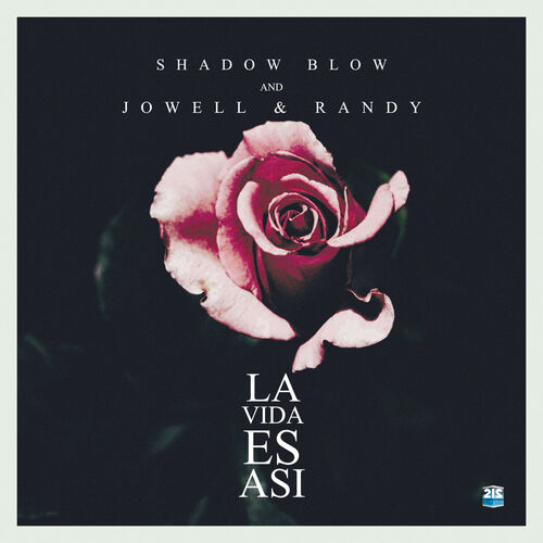 Portada de La Vida Es Asi (Remix)