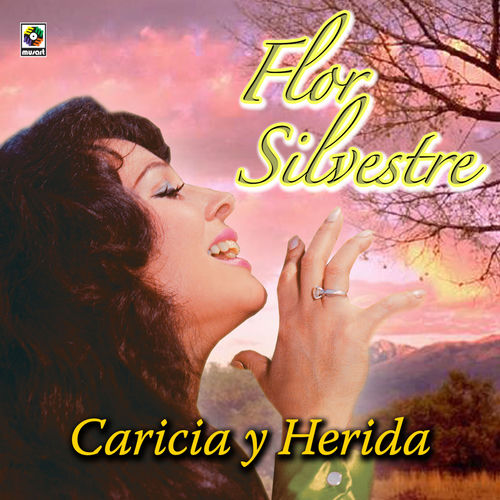 Portada de Caricia Y Herida