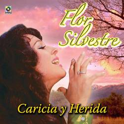 Portada de Caricia Y Herida