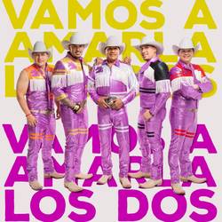 Portada de Vamos A Amarla Los Dos