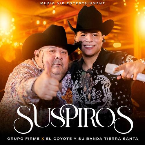 Portada de Suspiros (En Vivo)