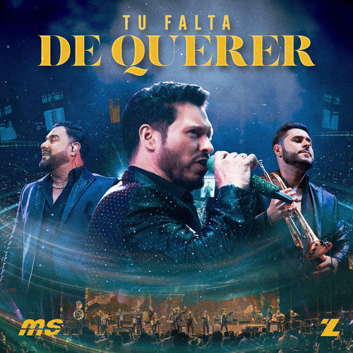 Portada de Tu Falta De Querer
