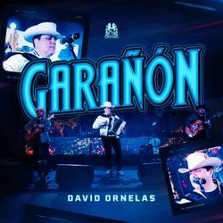 Portada de Garañon