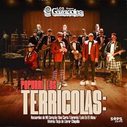 Portada de Popurrí los Terrícolas: Recuerdos de Mi Corazón / Una Carta / Llorarás / Luto en el Alma / Vivirás / Deja de Llorar Chiquilla