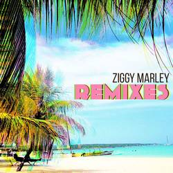 Portada de Remixes