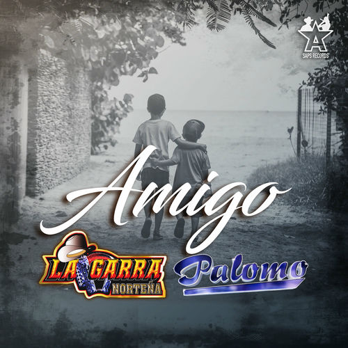 Portada de Amigo