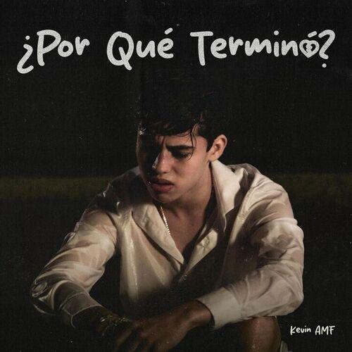 Portada de ¿Por Qué Terminó?