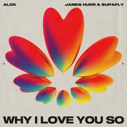 Portada de Why I Love You So