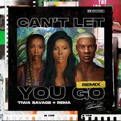 Portada de Can't Let You Go (Remix)