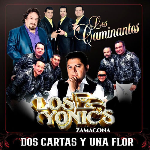 Portada de Dos Cartas y una Flor