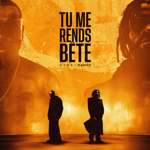 Portada de TU ME RENDS BÊTE